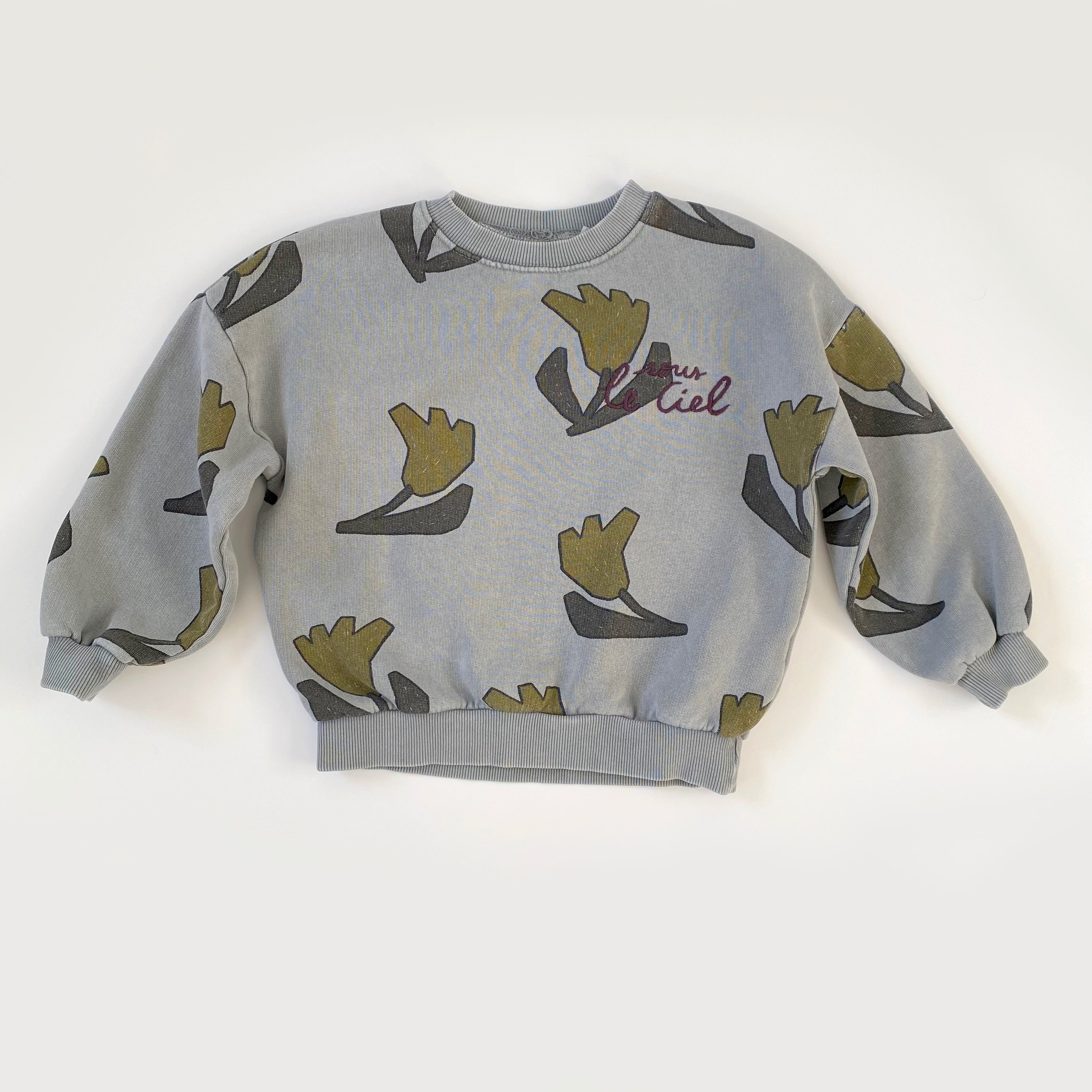 Zara shops butterfly sweatshirt 3-4 years